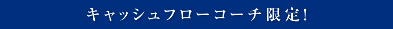 キャッシュフローコーチ限定！