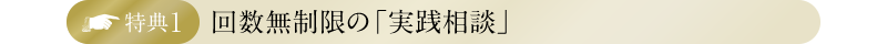 特典1・回数無制限の「実践相談」