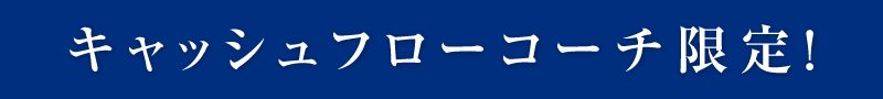 キャッシュフローコーチ限定！